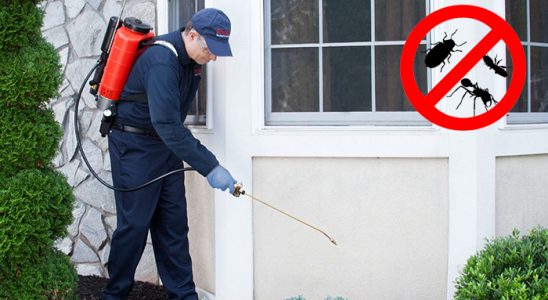 Kapaklı Hamam Böceği İlaçlama böcek ilaçlama ve haşere kontrolü — ilaclama-tr.com